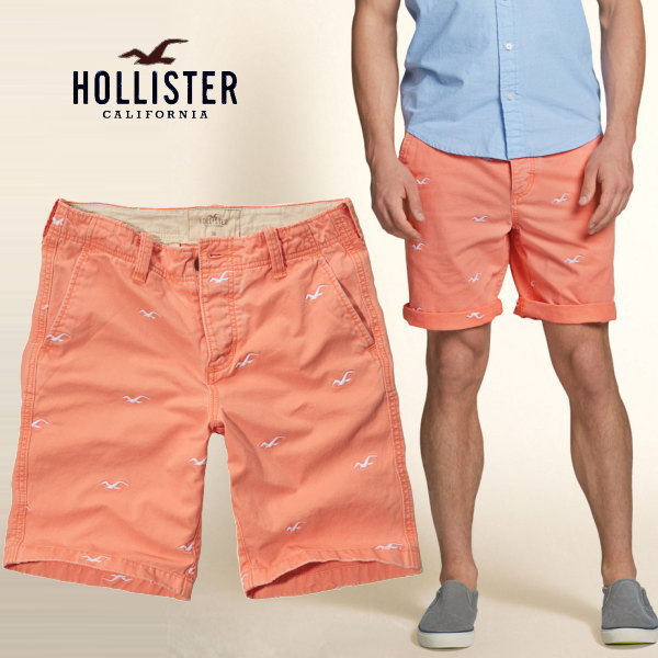 HOLLISTER ホリスター アメリカ直営店買い付け品 本物 正規品 Tシャツ