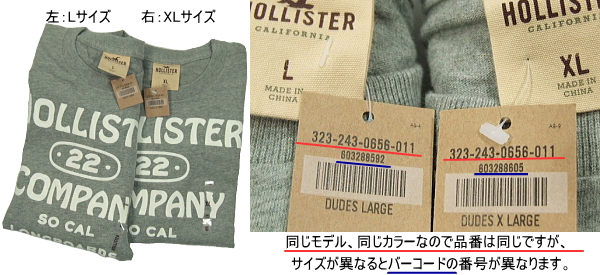 HOLLISTER ホリスター アメリカ直営店買い付け品 本物 正規品 Sycamore Cove