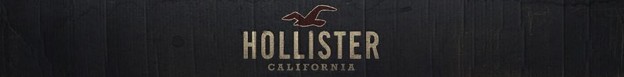 HOLLISTER ホリスター アメリカ買い付け品 本物 正規品 人気のオールウェザージャケット