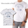 画像1: ★完売 アバクロ セール 100%本物保証 ABERCROMBIE タイガー 92 染み込みプリント 旧タグ仕様 メンズ半袖Tシャツ ホワイト　（アバクロカラー番号 001） 　USA直営店買い付け正規品　Abercrombie & Fitch　品番123-238-1471-001 (1)