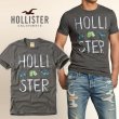 画像1: ★ホリスター セール HOLLISTERロゴ ヘッドフォン サーフパンツ サングラス グラフィックプリント Tシャツ 【チャコールヘザーグレー】 100%本物保証！ アバクロ兄弟ブランド アメリカ直営店買い付け正規品 品番323-243-1327-014 (1)