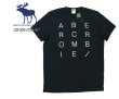 画像3: ★完売 アバクロ セール 100%本物保証 ABERCROMBIE 総刺繍ロゴTシャツ 旧ロゴタグ採用 メンズ半袖Tシャツ 【ネイビー】（アバクロカラー番号023） USA直営店買い付け正規品　Abercrombie & Fitch　品番123-238-1729-023 (3)