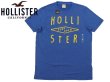 画像3: ★完売 ホリスター セール 100%本物保証 アバクロ兄弟ブランド HOLLISTERロゴ立体ツイルデコレーション SURFOPEN刺繍 メンズ半袖Tシャツ 杢調ブルー（カラー番号020）　HOLLISTER　USA直営店買い付け正規品 品番323-243-1218-020 (3)