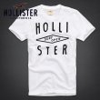 画像2: ★完売 ホリスター セール 100%本物保証 アバクロ兄弟ブランド HOLLISTERロゴ立体ツイルデコレーション SURFOPEN刺繍 メンズ半袖Tシャツ ホワイト（カラー番号001）　HOLLISTER　USA直営店買い付け正規品 品番323-243-1218-001 (2)