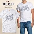 画像1: ★完売 ホリスター セール 100%本物保証 アバクロ兄弟ブランド Hollister surfing coロゴラバープリント メンズ半袖Tシャツ ホワイト （カラー番号001）　HOLLISTER　USA直営店買い付け正規品 品番323-243-1409-001 (1)