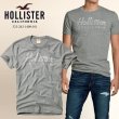 画像1: ★ホリスター セール 100%本物保証 アバクロ兄弟ブランド Hollister califoniaロゴ ラバープリント メンズ半袖Tシャツ 杢調グレー （カラー番号011）　HOLLISTER　USA直営店買い付け正規品 品番323-243-1409-011 (1)