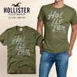 画像1: ★完売 ホリスター セール 100%本物保証 アバクロ兄弟ブランド Hollister BOARDSロゴラバープリント メンズ半袖Tシャツ アーミーグリーン （カラー番号030）　HOLLISTER　USA直営店買い付け正規品 品番323-243-1409-030 (1)