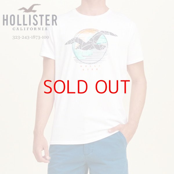 画像1: ★完売 ホリスター 再値下げセール 本物保証 アバクロ兄弟ブランド Hollister お馴染みのカモメアート グラフィックプリント メンズ半袖Tシャツ ホワイト（カラー番号100）　HOLLISTER USA直営店買い付け正規品 品番324-243-1873-100 (1)