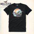 画像2: ★完売 ホリスター 再値下げセール 本物保証 アバクロ兄弟ブランド Hollister お馴染みのカモメアート グラフィックプリント メンズ半袖Tシャツ ブラック（カラー番号900）HOLLISTER USA直営店買い付け正規品 品番324-243-1934-900 (2)