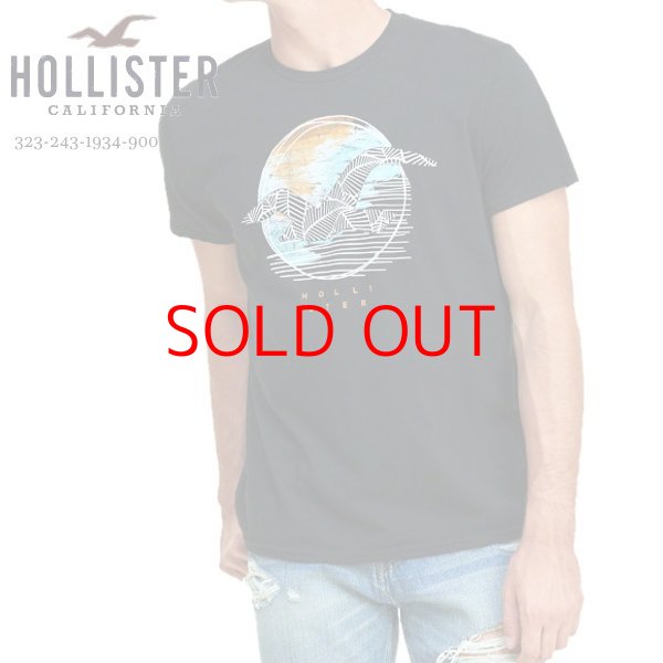 画像1: ★完売 ホリスター 再値下げセール 本物保証 アバクロ兄弟ブランド Hollister お馴染みのカモメアート グラフィックプリント メンズ半袖Tシャツ ブラック（カラー番号900）HOLLISTER USA直営店買い付け正規品 品番324-243-1934-900 (1)