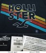 画像4: ★完売 ホリスター セール 本物保証 アバクロ兄弟ブランド Hollisterロゴ シーガル オーバー ザ レインボー グラフィックプリント メンズ半袖Tシャツ ネイビー（カラー番号200）HOLLISTER USA直営店買い付け正規品 品番324-243-1927-200 (4)