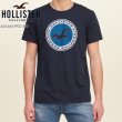 画像1: ★完売 ホリスター 再値下げセール 本物保証 アバクロ兄弟ブランド Hollister シーガル&エンブレム風  グラフィックプリント メンズ半袖Tシャツ ネイビー（カラー番号200）HOLLISTER USA直営店買い付け正規品 品番324-243-1875-200 (1)