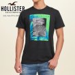 画像1: ★完売 ホリスター 再値下げセール 本物保証 アバクロ兄弟ブランド Hollister アートフル グラフィックプリント メンズ半袖Tシャツ ブラック（カラー番号900）HOLLISTER USA直営店買い付け正規品 品番324-243-1873-900 (1)