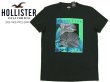 画像3: ★完売 ホリスター 再値下げセール 本物保証 アバクロ兄弟ブランド Hollister アートフル グラフィックプリント メンズ半袖Tシャツ ブラック（カラー番号900）HOLLISTER USA直営店買い付け正規品 品番324-243-1873-900 (3)