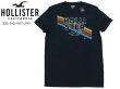 画像3: ★完売 ホリスター セール 本物保証 アバクロ兄弟ブランド Hollisterロゴ シーガル オーバー ザ レインボー グラフィックプリント メンズ半袖Tシャツ ネイビー（カラー番号200）HOLLISTER USA直営店買い付け正規品 品番324-243-1927-200 (3)