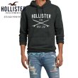 画像1: ★完売 ホリスター 本物保証 アバクロ兄弟ブランド Hollister ホリスターロゴ サーフボード 立体総刺繍仕上げ スエットパーカー チャコール スミクロ（カラー番号018）HOLLISTER USA直営店買い付け正規品 品番375-322-0013-018 お振込み決済にて８％還元！ (1)