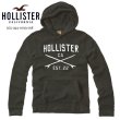 画像2: ★完売 ホリスター 本物保証 アバクロ兄弟ブランド Hollister ホリスターロゴ サーフボード 立体総刺繍仕上げ スエットパーカー チャコール スミクロ（カラー番号018）HOLLISTER USA直営店買い付け正規品 品番375-322-0013-018 お振込み決済にて８％還元！ (2)