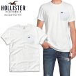 画像1: ★完売 ホリスター 本物保証 正規品 アバクロ兄弟ブランド Hollister マストハブ お馴染みのカモメ刺繍 再熱ポケット付き メンズTシャツ 【ホワイト】（カラー番号100）HOLLISTER USA直営店買い付け正規品 品番375-324-0021-100 (1)