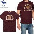 画像1: ★完売 アバクロ 再値下げセール 100%本物正規品 Abercrombie & Fitch 立体ABERCROMBIE AND FITCH 3Dロゴデコレーション 立体刺繍エンブレム メンズ半袖Tシャツ 【バーガンディ】 Lサイズ USA直営店買い付け正規品 Abercrombie & Fitch 品番195-123-0890-099 (1)