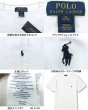 画像4: ★完売 ポロ by ラルフローレン セール 本物保証 Ralph Lauren ポケット付き ホース刺繍 VネックTシャツ  【ホワイト】 日本人体型には嬉しいボーイズ規格サイズ 日本サイズ メンズS-M位 アメトラの定番ブランド Polo by Ralph V NECK POCKET T shirts お振込み決済にて8%還元 (4)