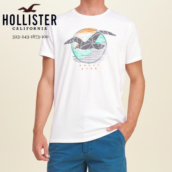 完売 ホリスター 再値下げセール 本物保証 アバクロ兄弟ブランド Hollister お馴染みのカモメアート グラフィックプリント メンズ半袖tシャツ ホワイト カラー番号100 Hollister Usa直営店買い付け正規品 品番324 243 1873 243 1873 100 Hollister